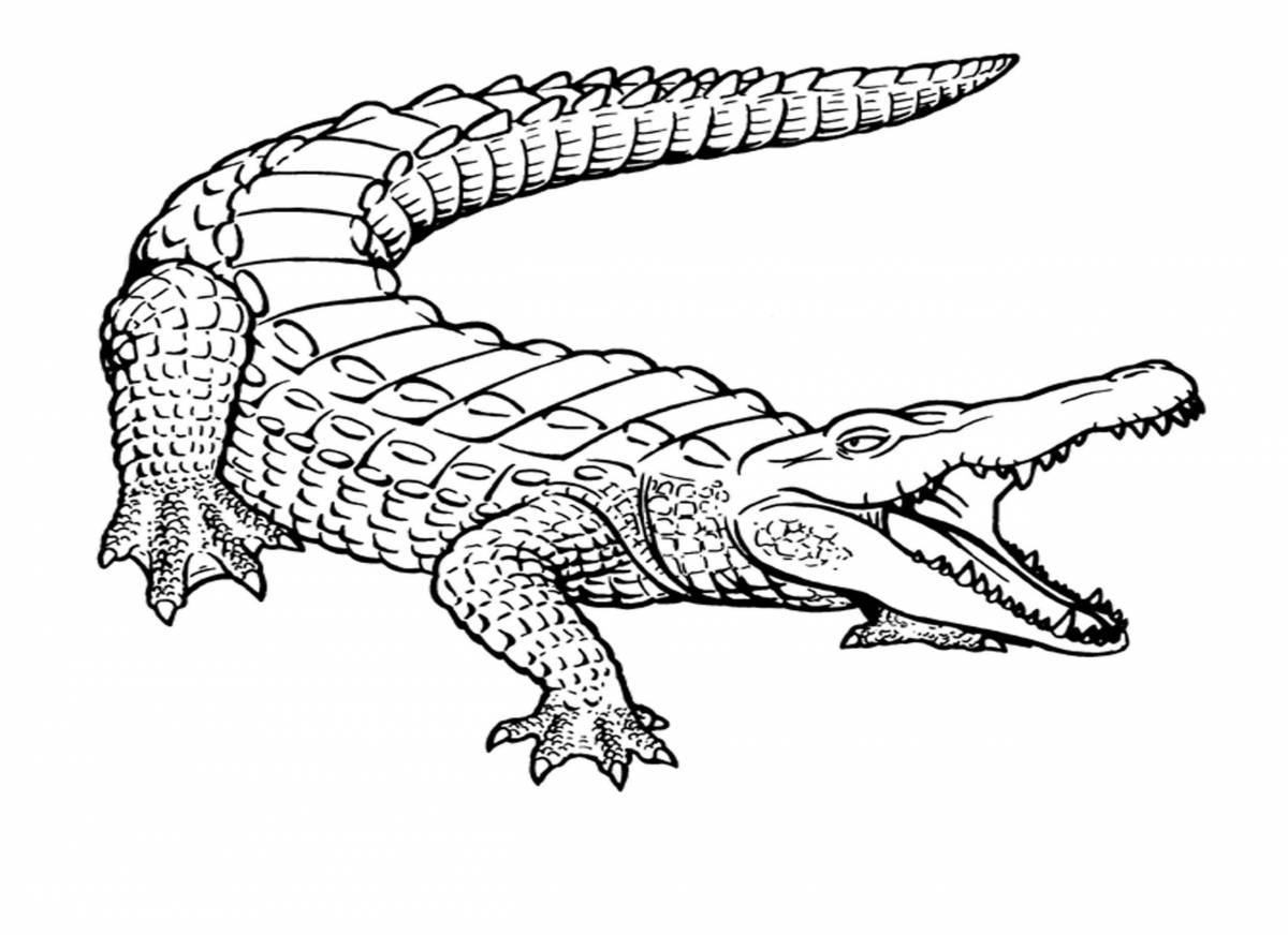 Раскраски Крокодил. +60 раскрасок с крокодилами