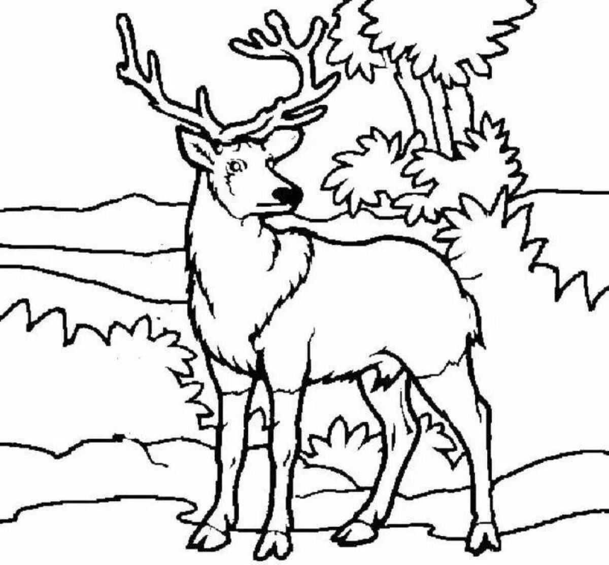 Glittering reindeer coloring page