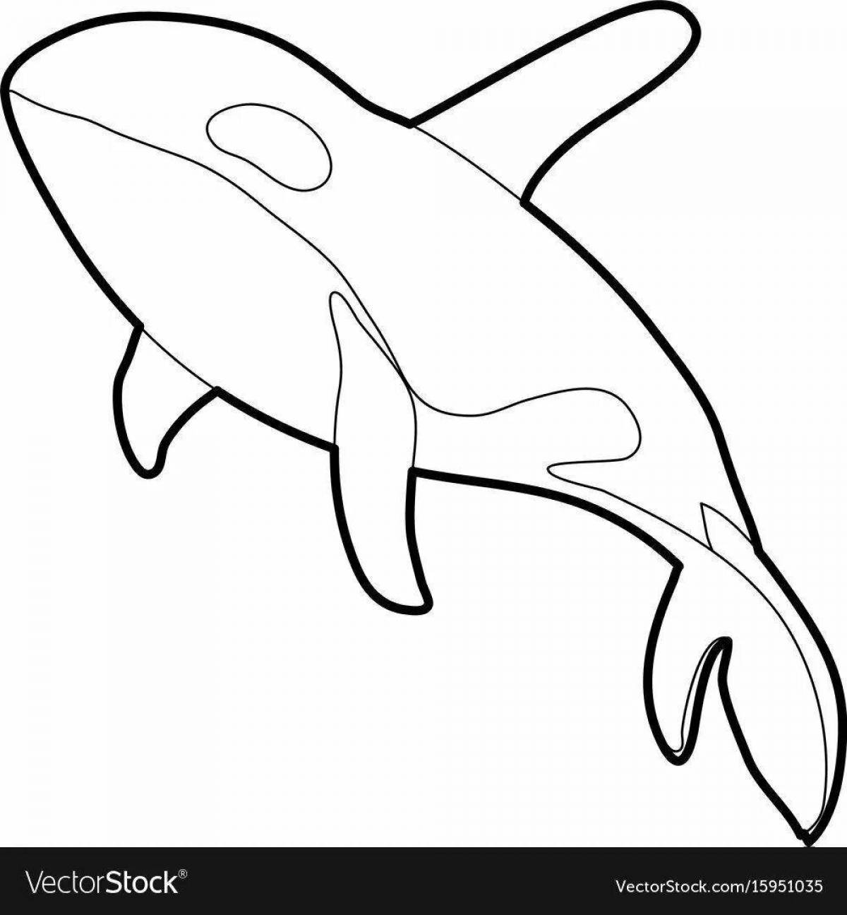Vibrant killer whale coloring page