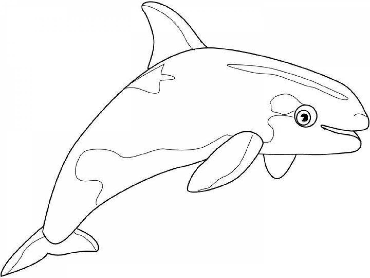 Coloring book shining killer whale