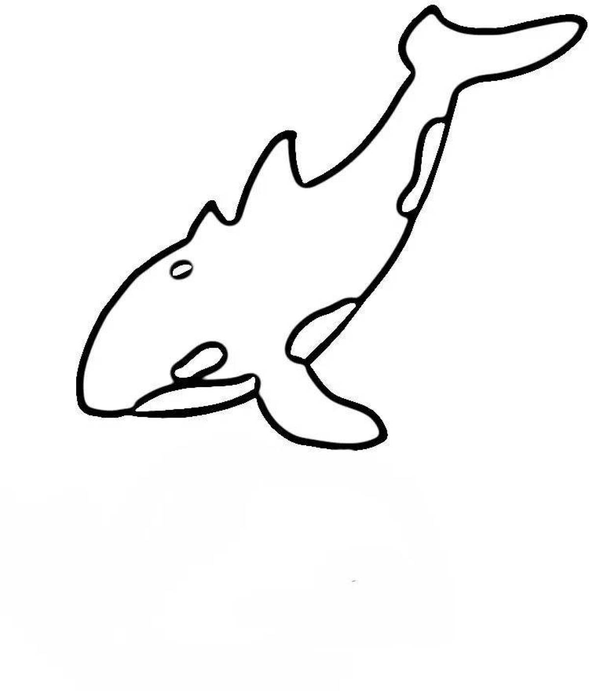 Flawless killer whale coloring page