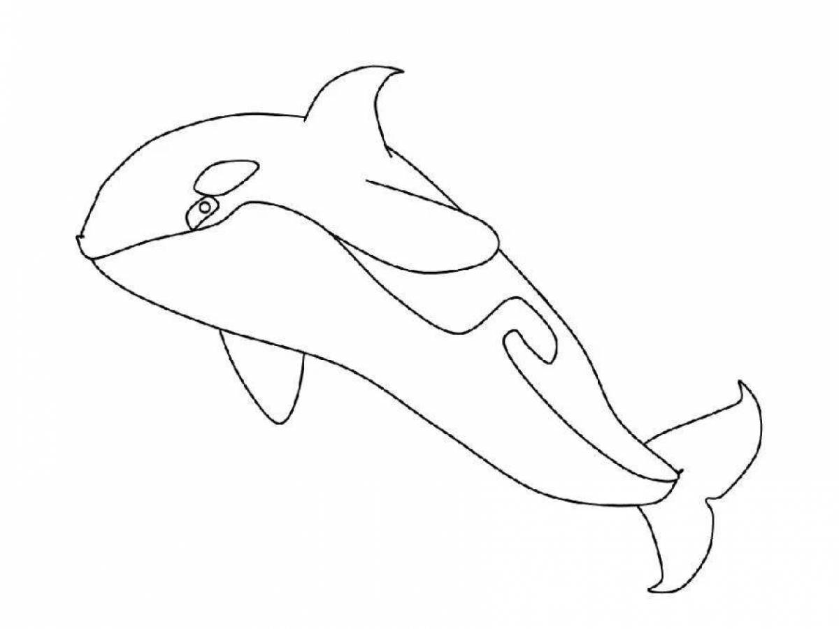 Coloring exotic killer whale