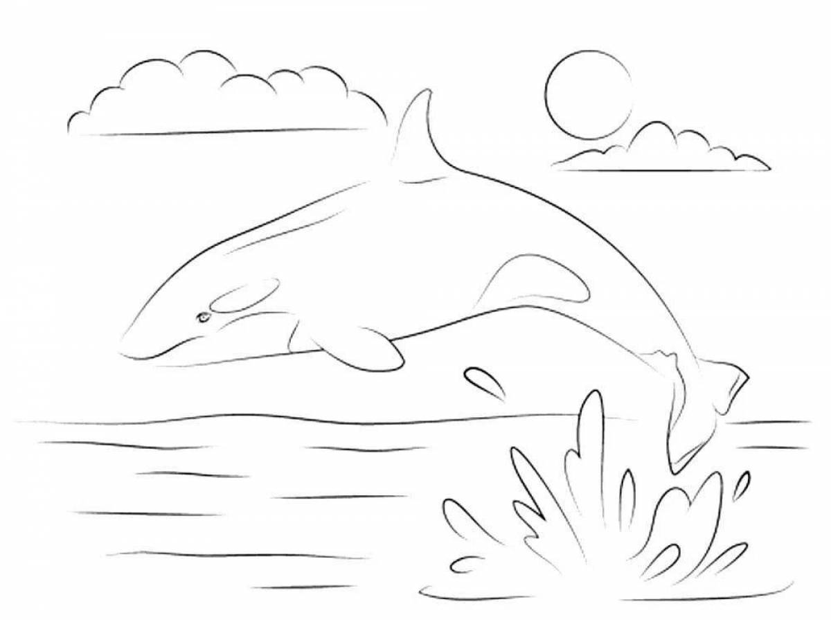 Beautiful killer whale coloring page