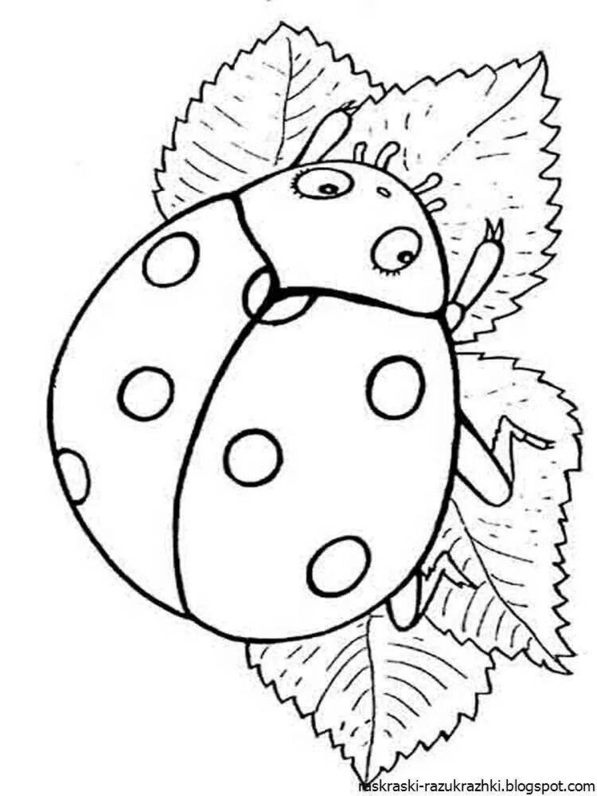 Colourful ladybug coloring page for kids