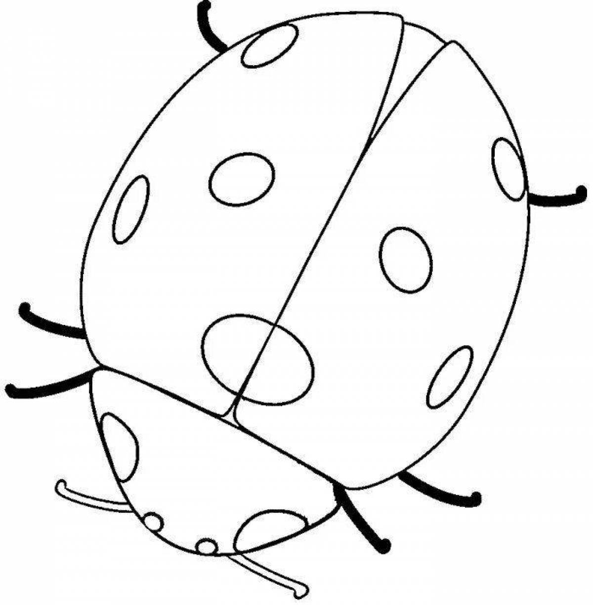 Colourful ladybug coloring book for kids