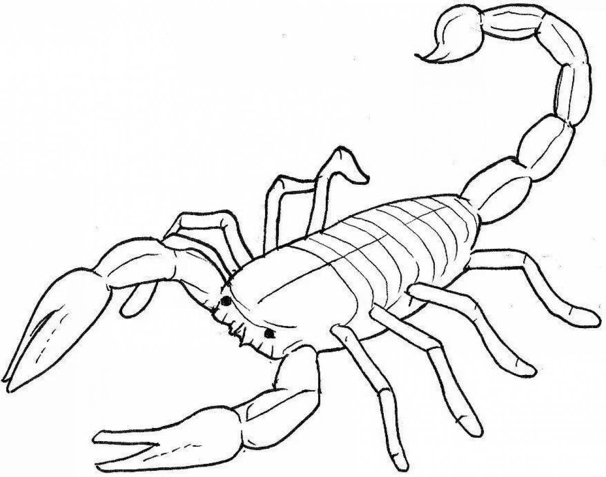Скорпион рисунок для детей раскраска