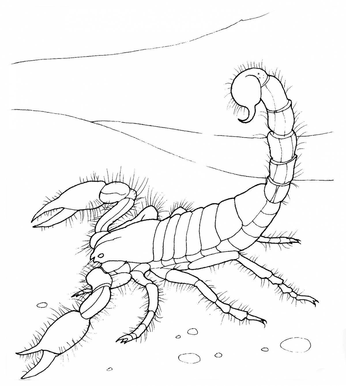 Coloring page graceful scorpion