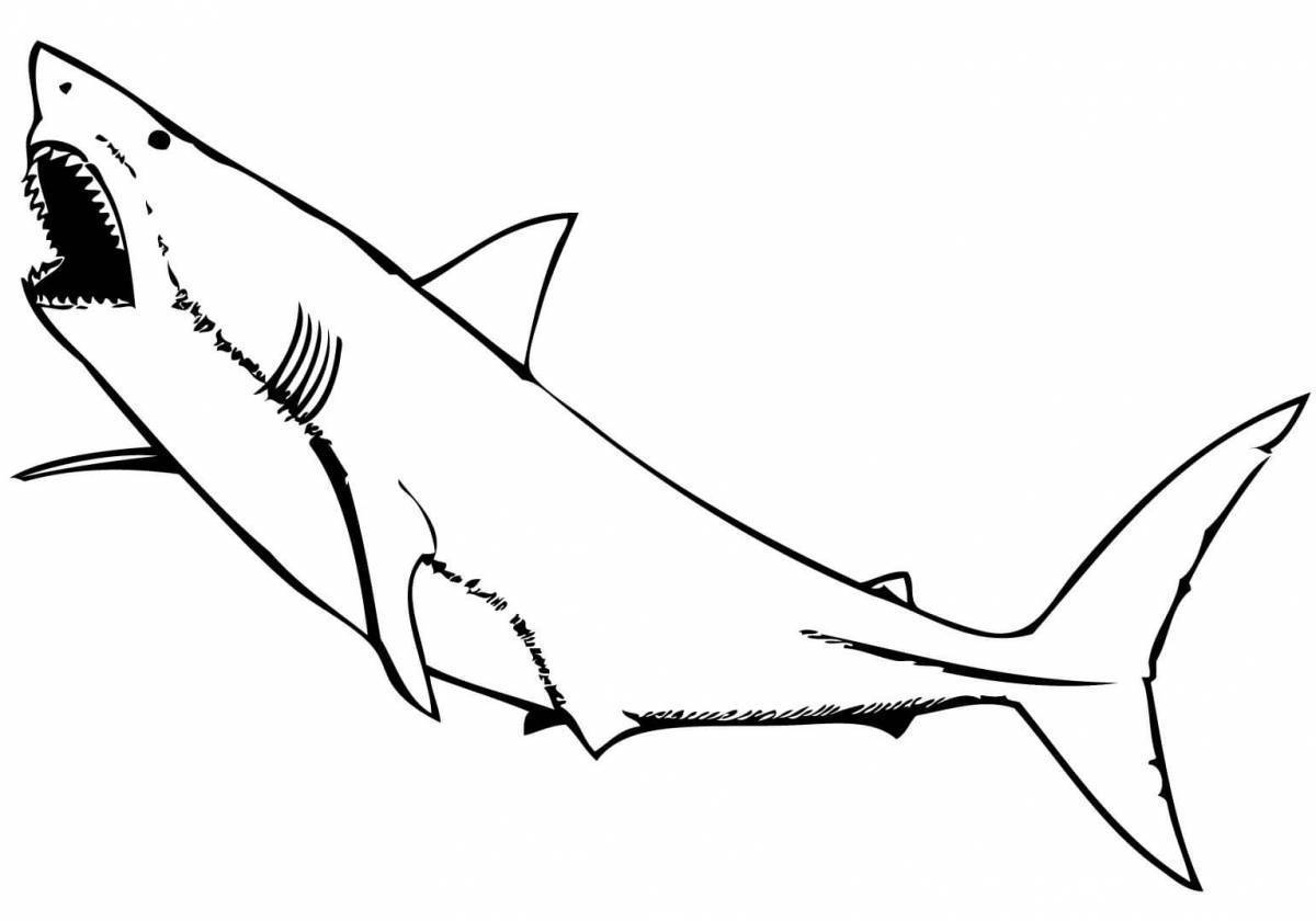 Акула рисунок детский простой