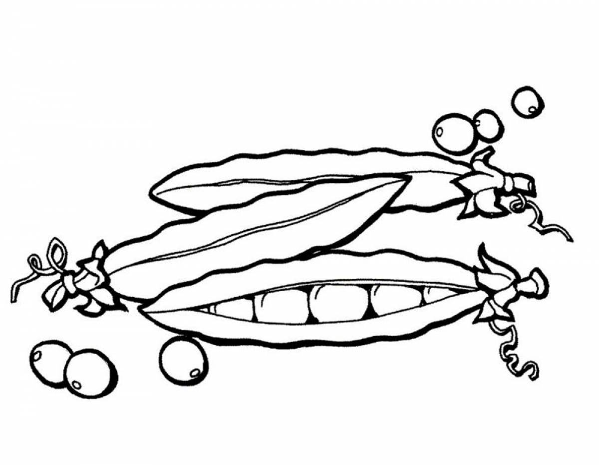 Рагата раскраска. Овощи раскраска для детей горох. Горох раскраска для детей. Горох картинка для детей раскраска. Стручок гороха раскраска.