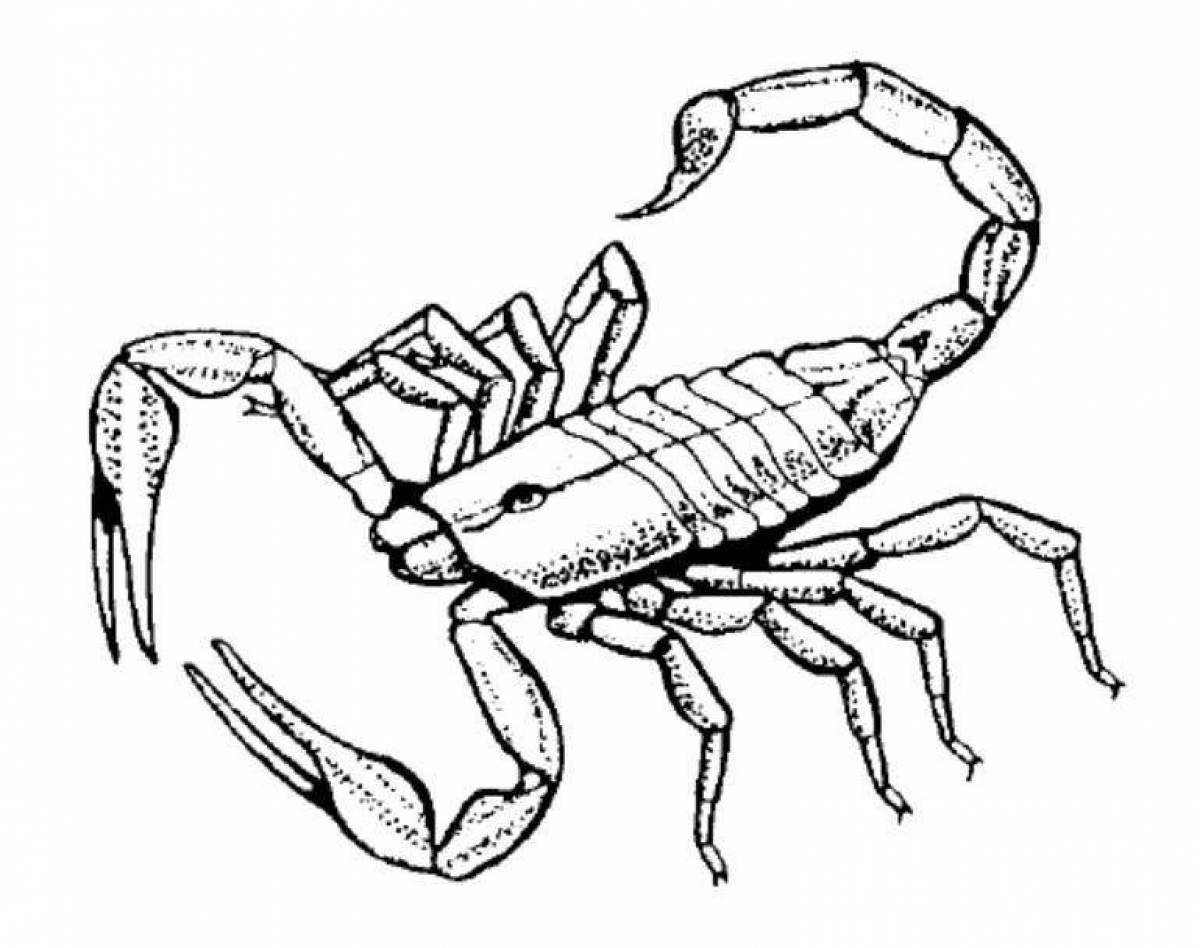 Картинка скорпион для раскраски