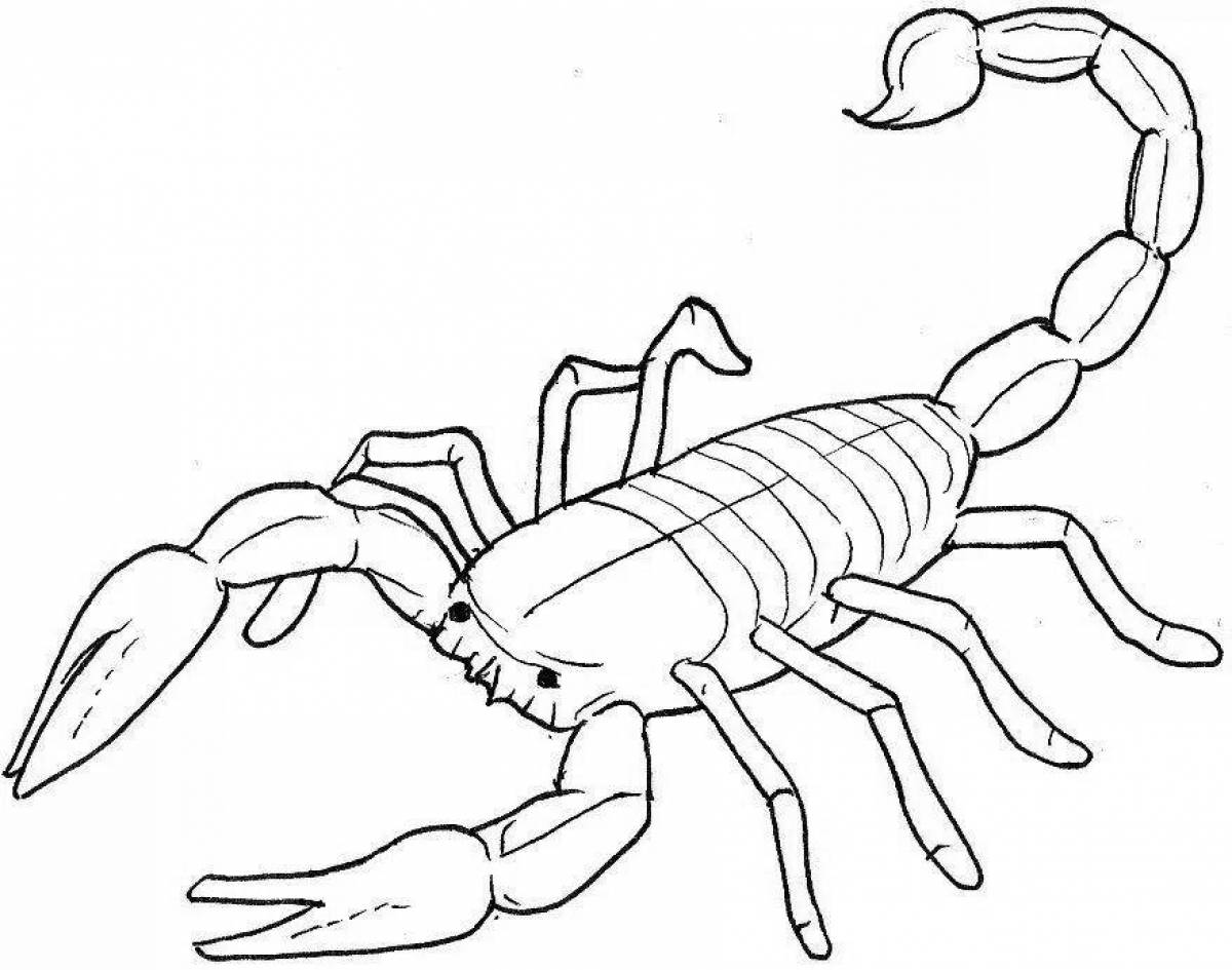 Картинка скорпион для раскраски