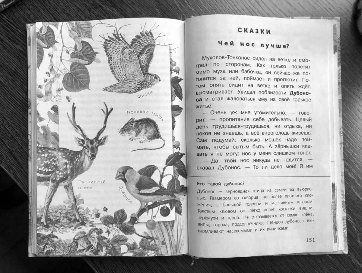 Adorable coloring book whose nose is better than Bianca's