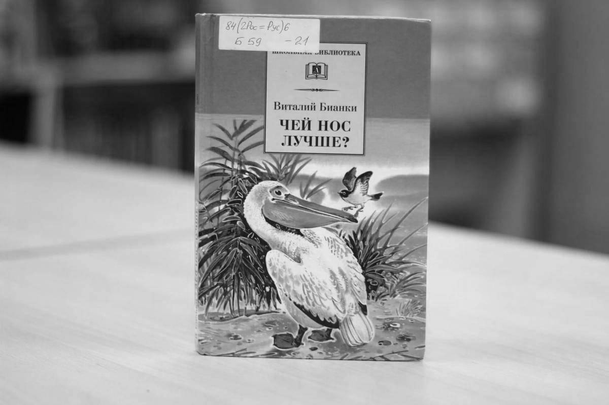 A funny coloring book whose nose is better than Bianca's