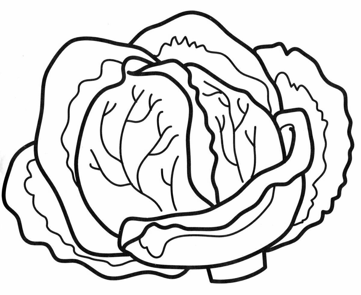 Colorful cabbage coloring page for kids