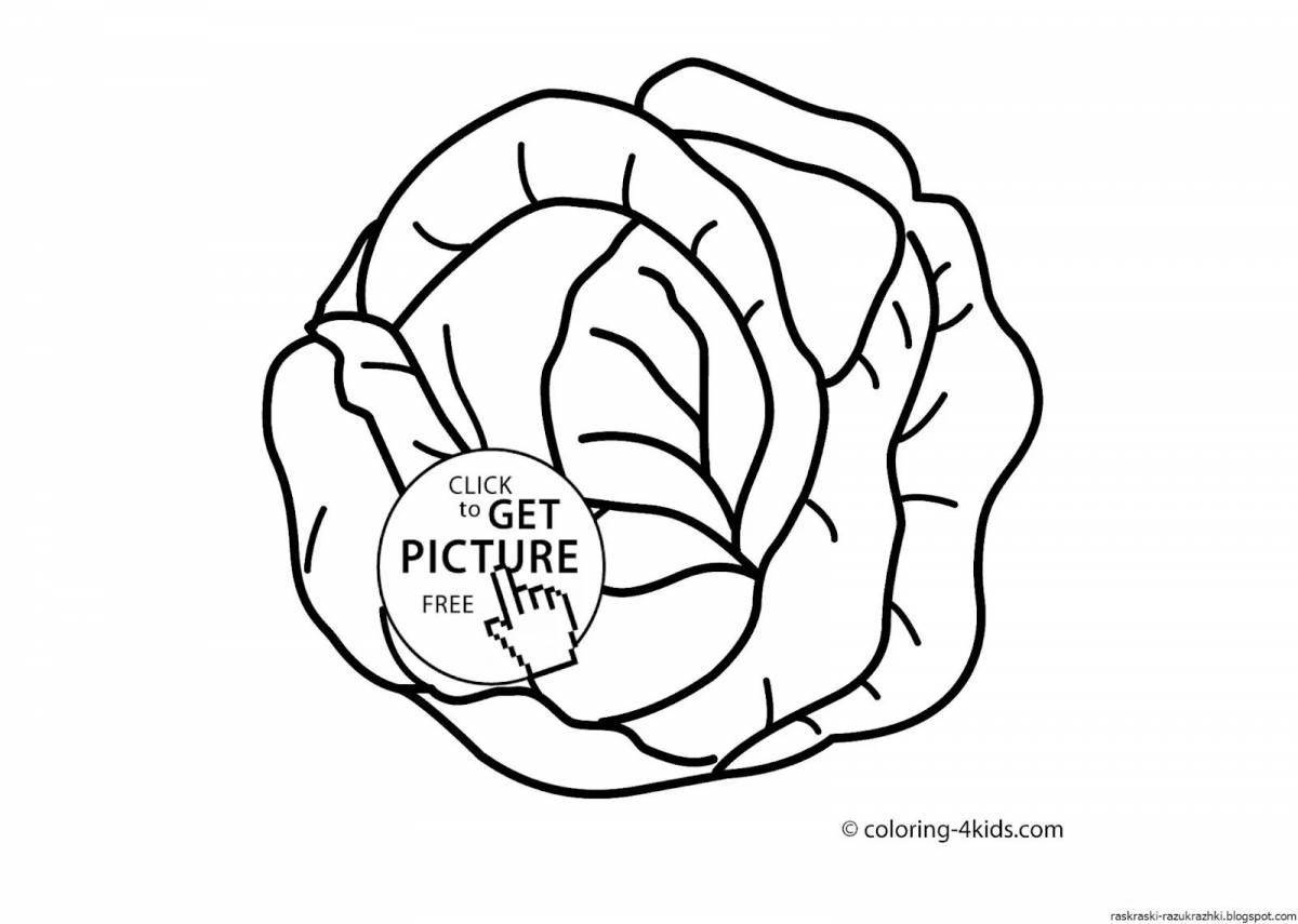 A fun cabbage coloring book for kids