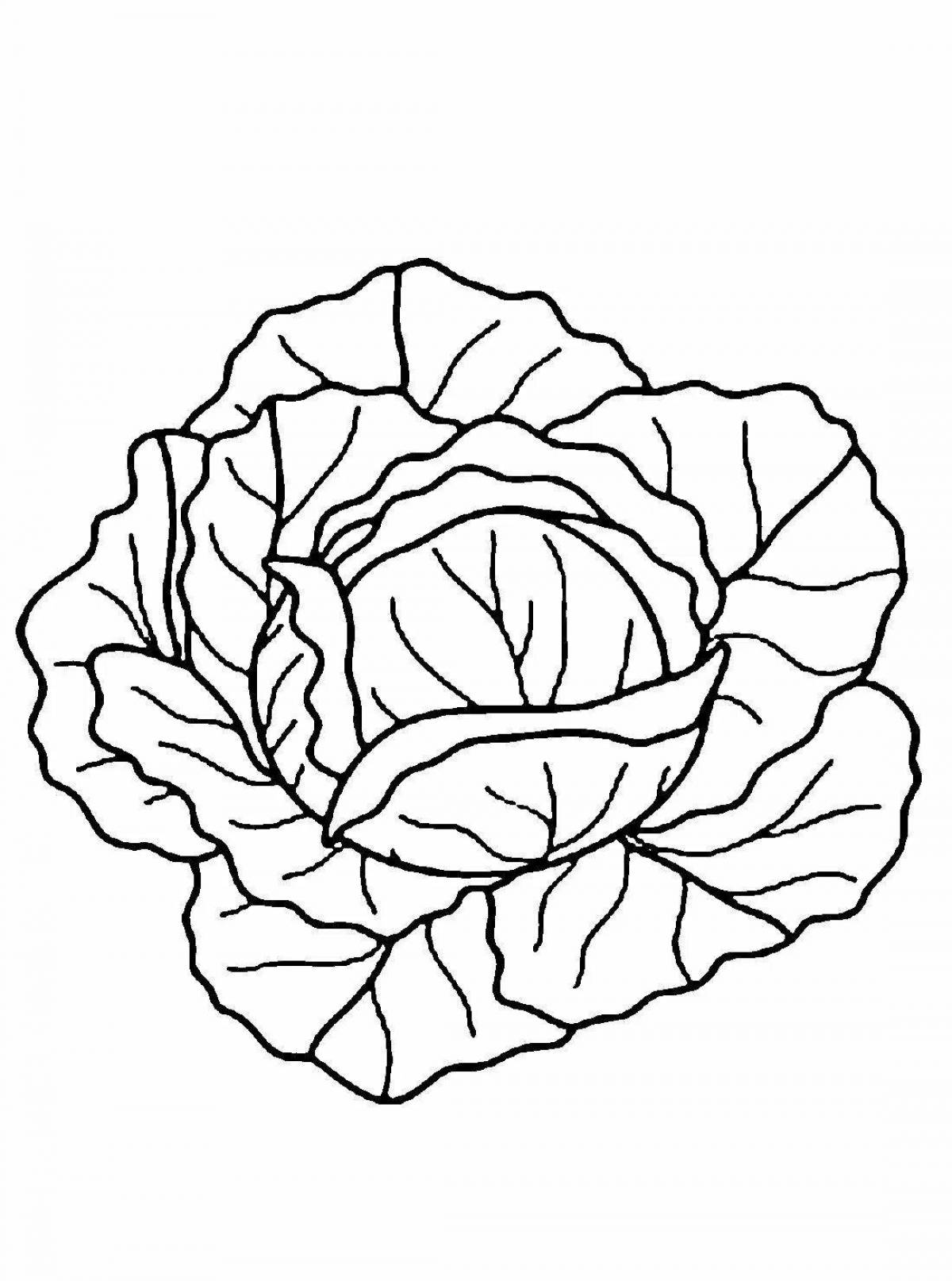 Fun coloring cabbage for kids