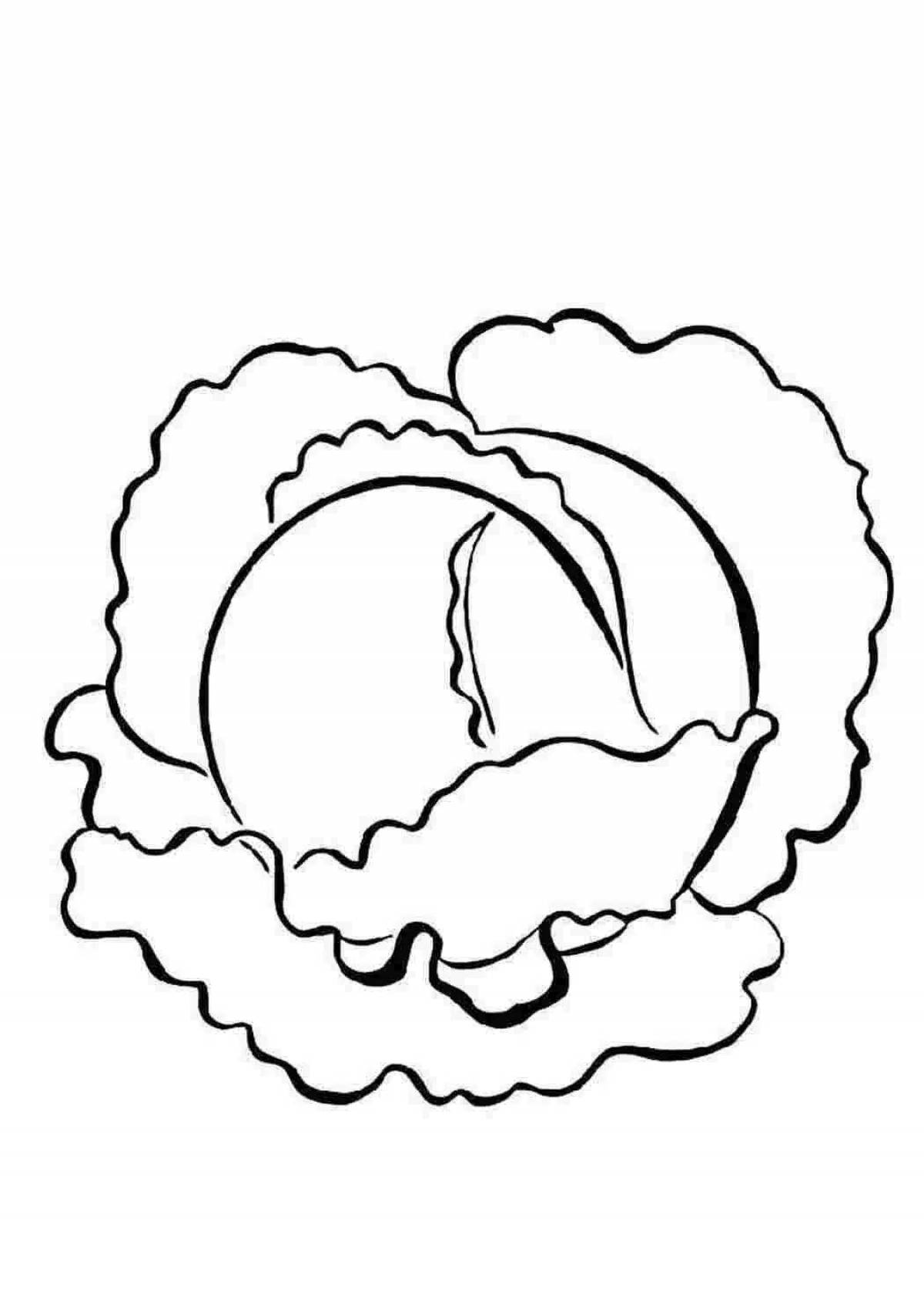 Adorable cabbage coloring book for kids