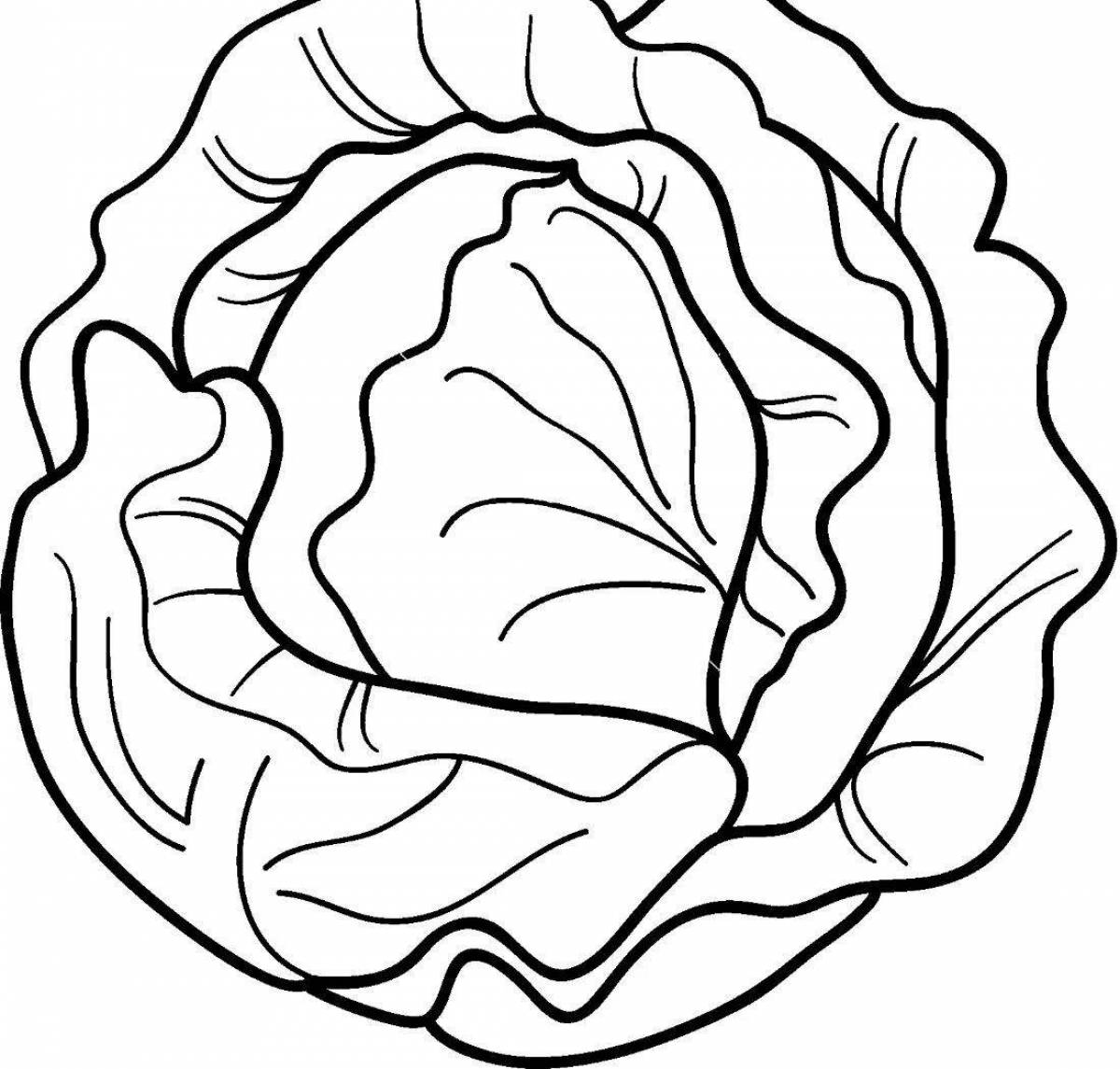 Live cabbage coloring for kids