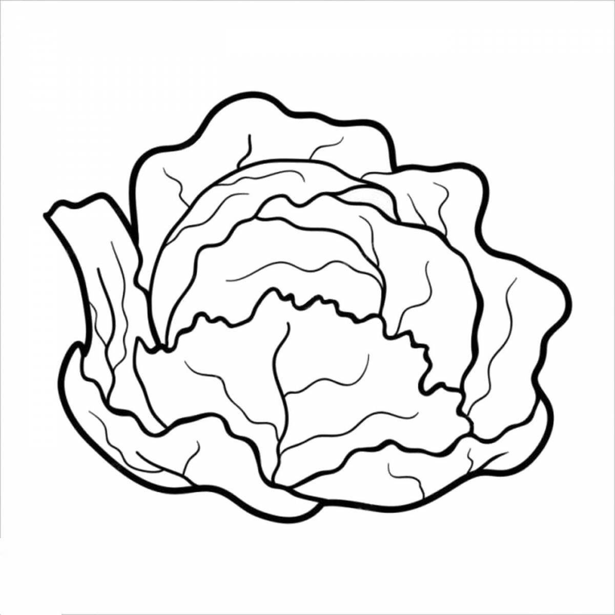 Adorable cabbage pattern for kids