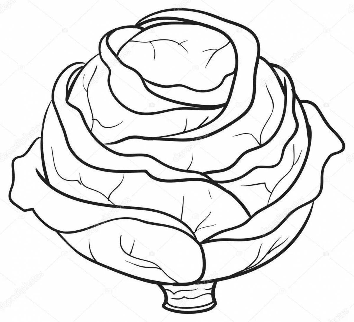 Great cabbage coloring book for kids