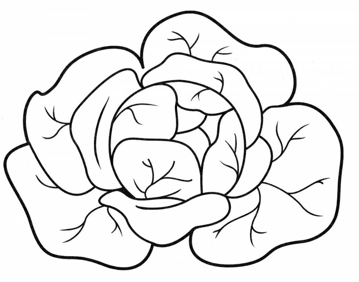 Fabulous cabbage coloring for kids