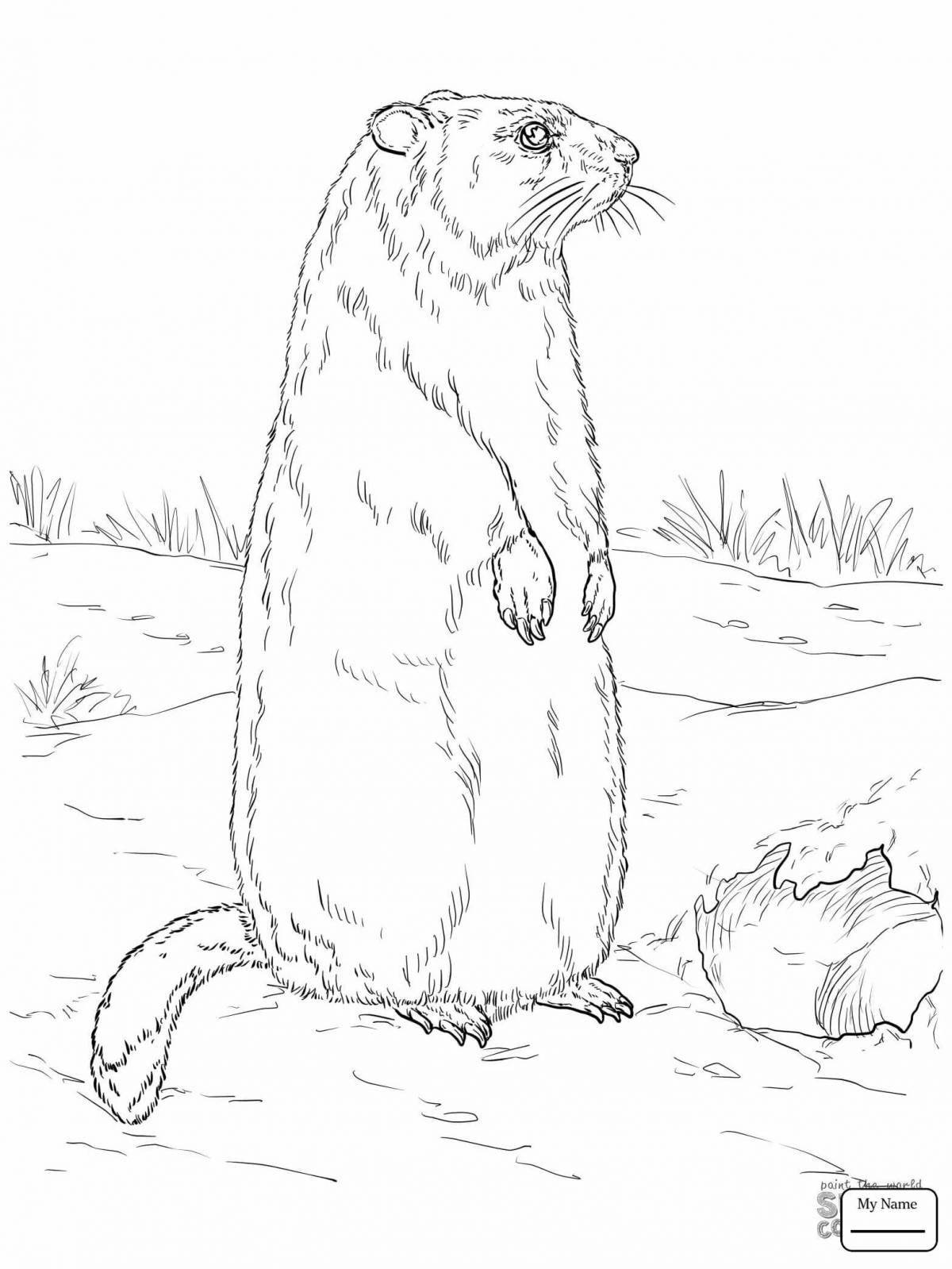 Adorable gopher coloring book for kids
