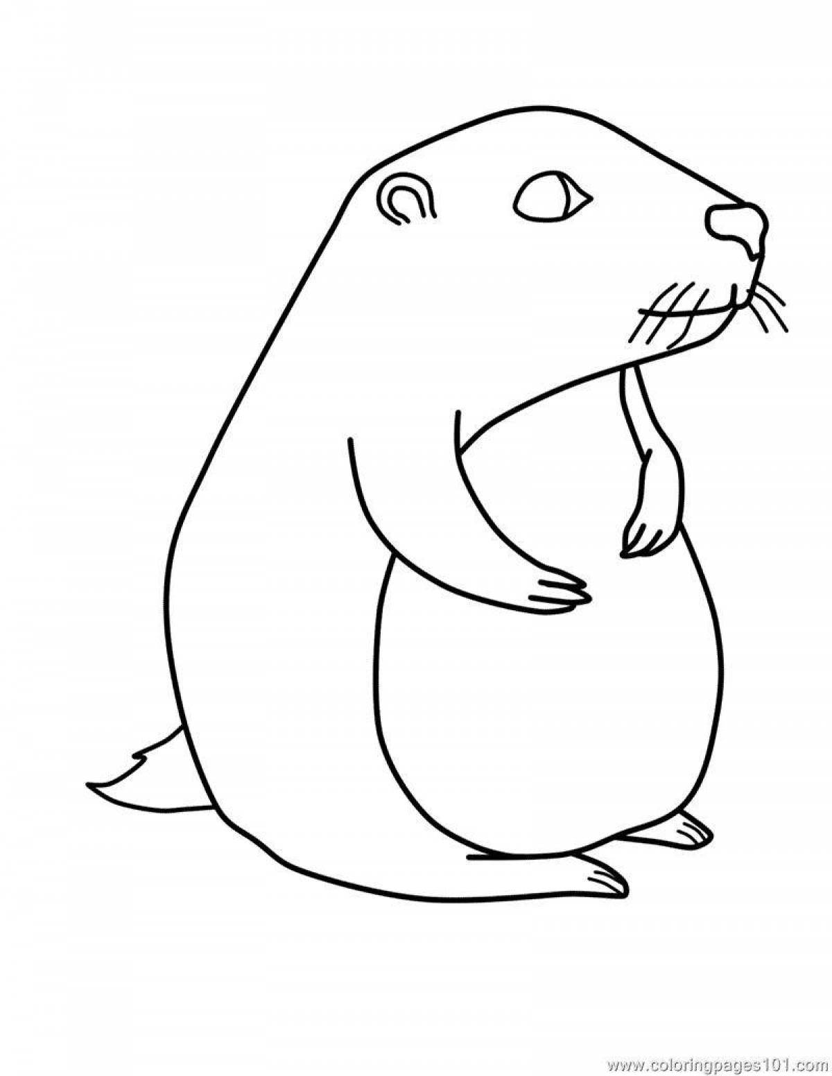 Coloring book happy gopher for kids