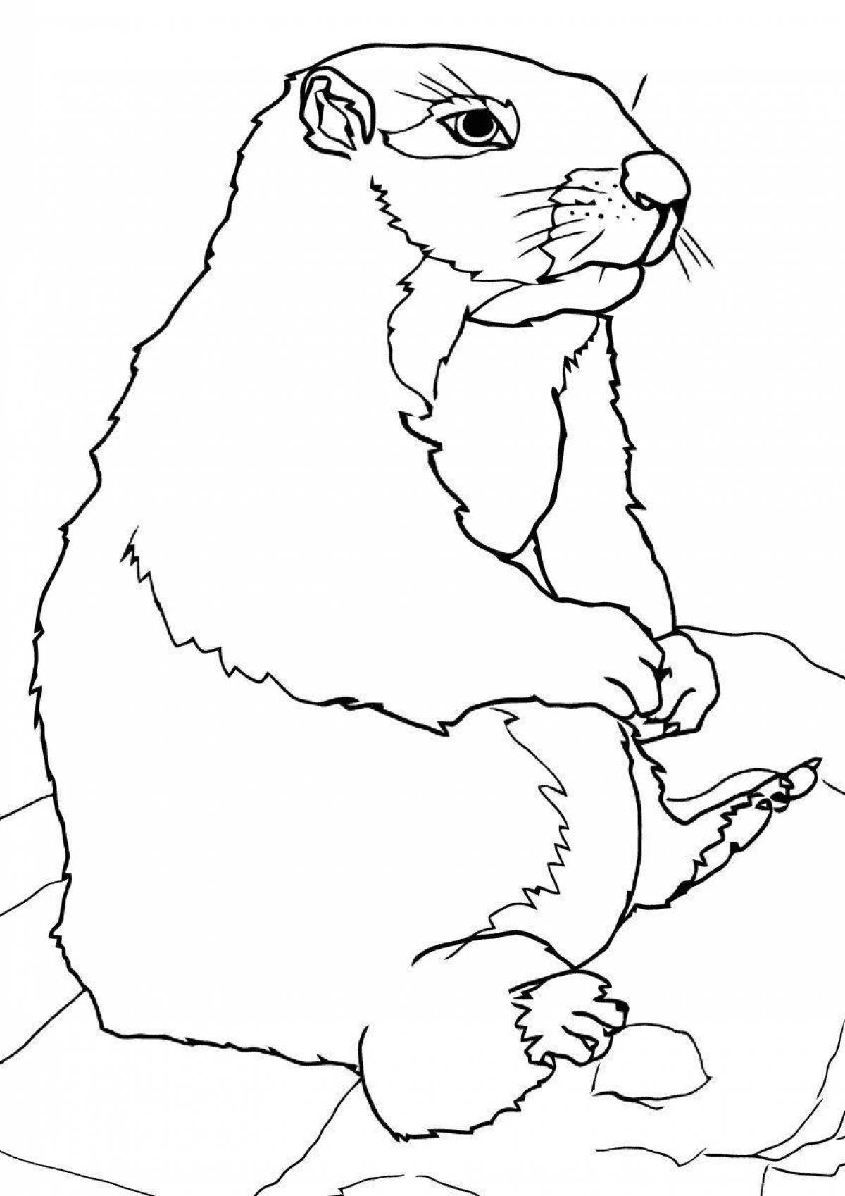 Fancy gopher coloring for kids