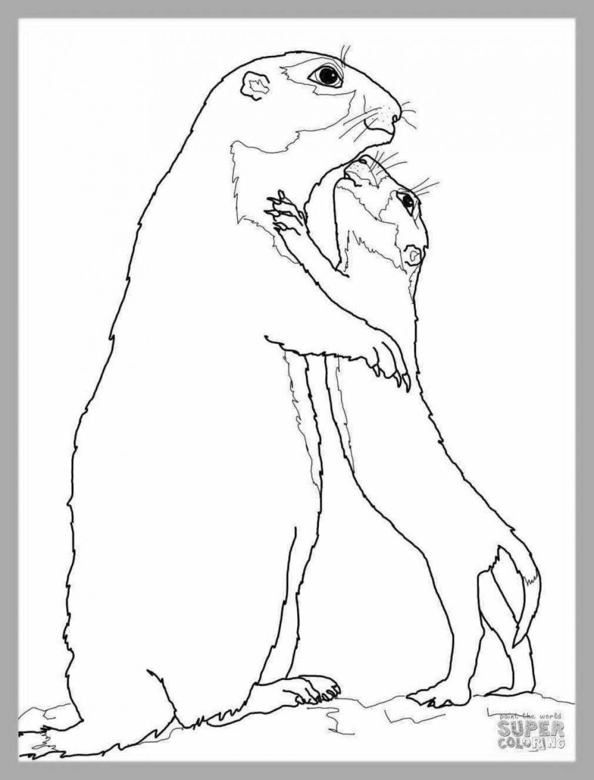 Cute gopher coloring pages for kids