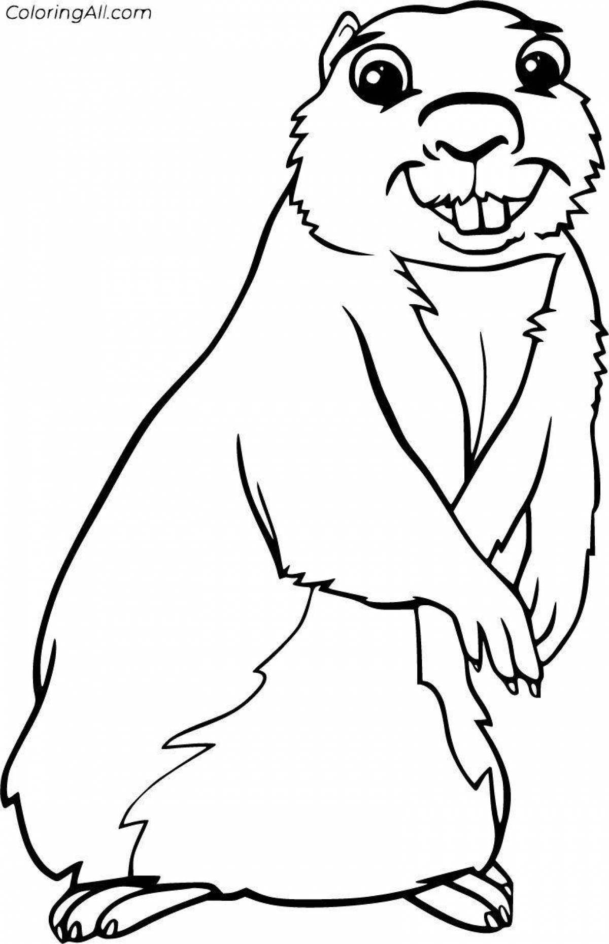 Great gopher coloring book for kids