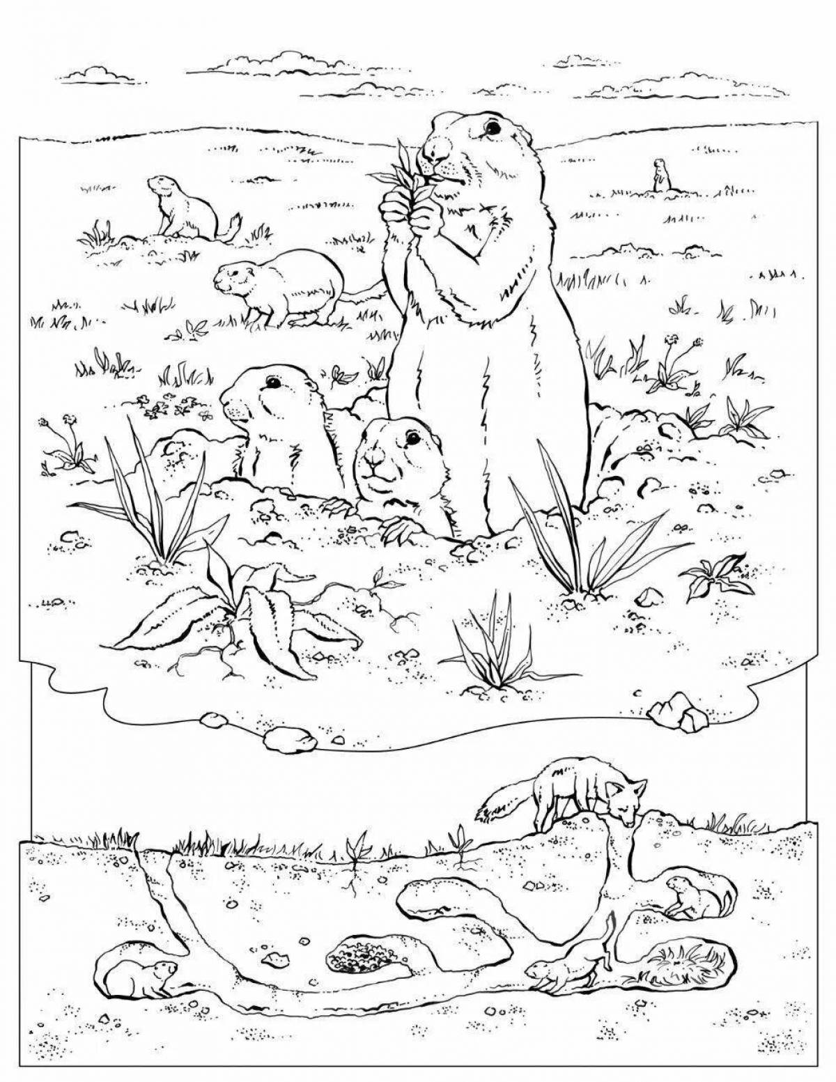 Splendid gopher coloring book for kids