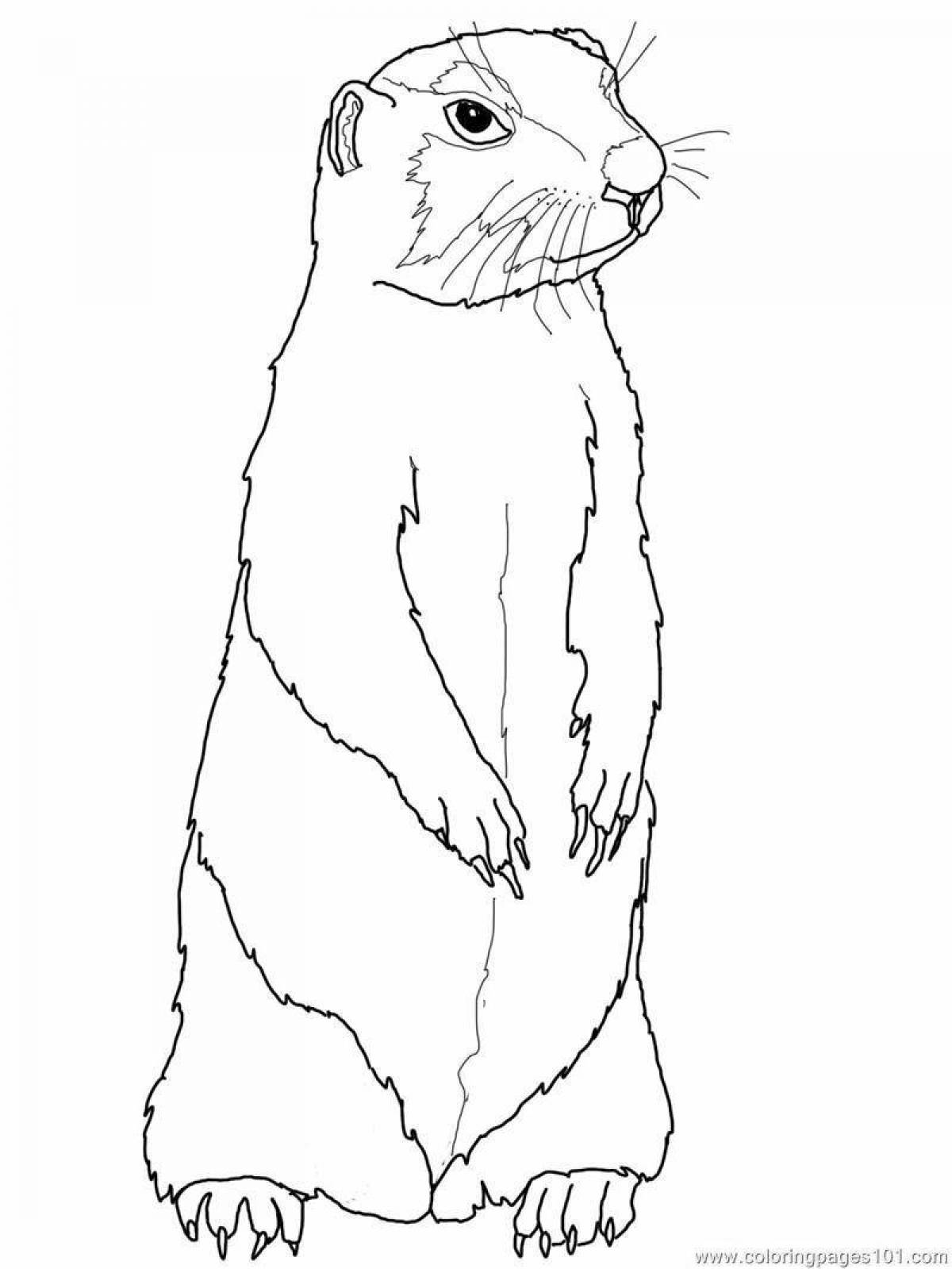 Amazing gopher coloring book for kids