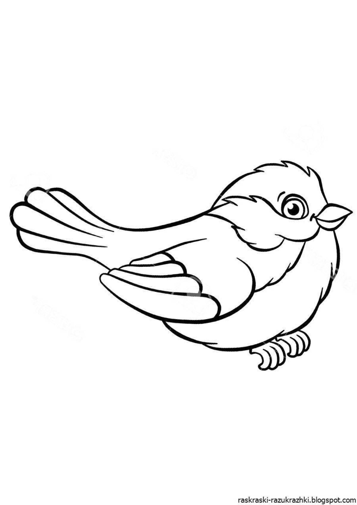 Птичка раскраска для детей распечатать