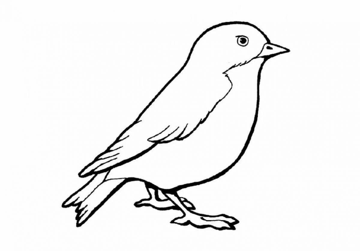 Bird for kids sparrow #1