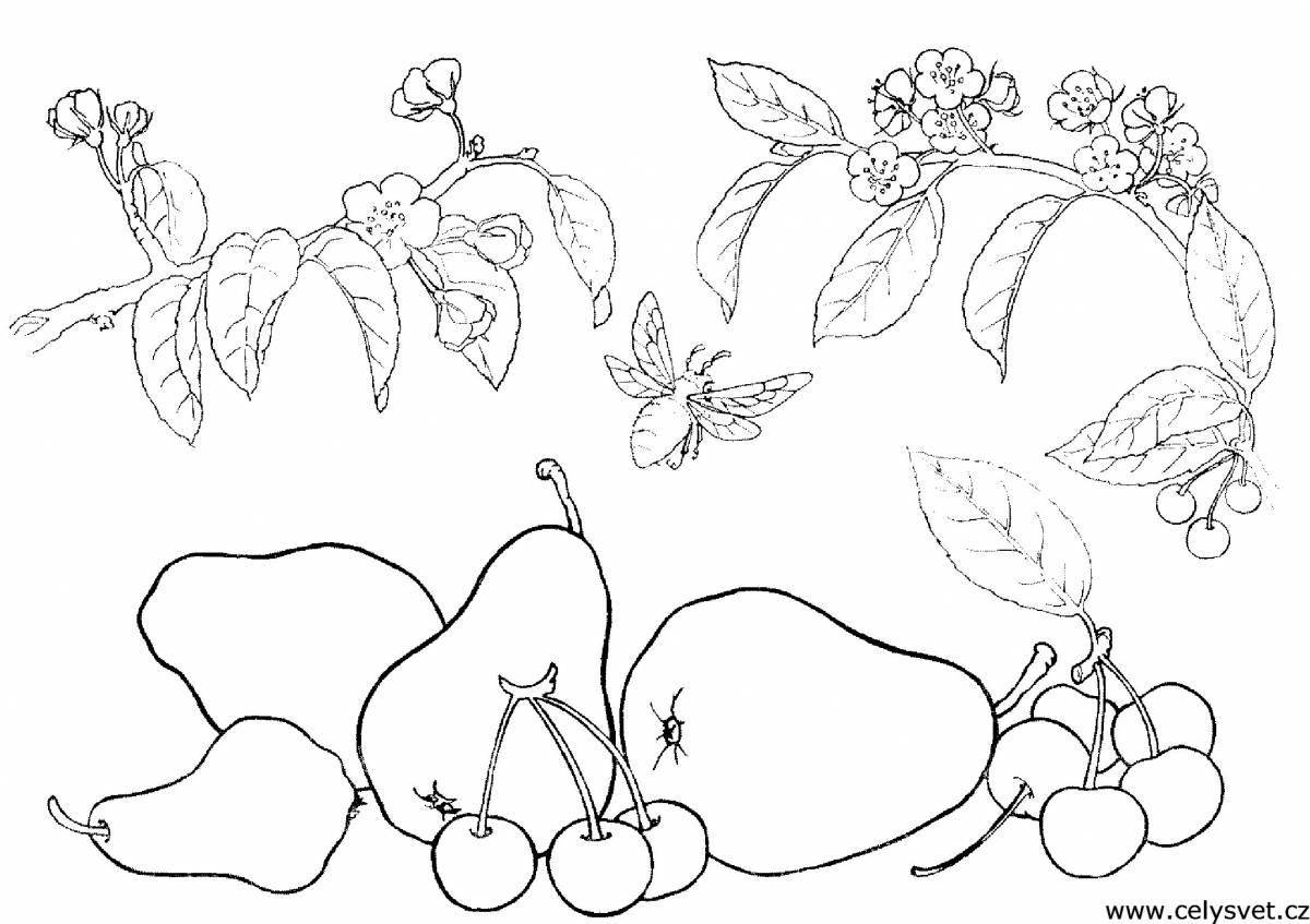 Coloring for children with colorful berries and fruits