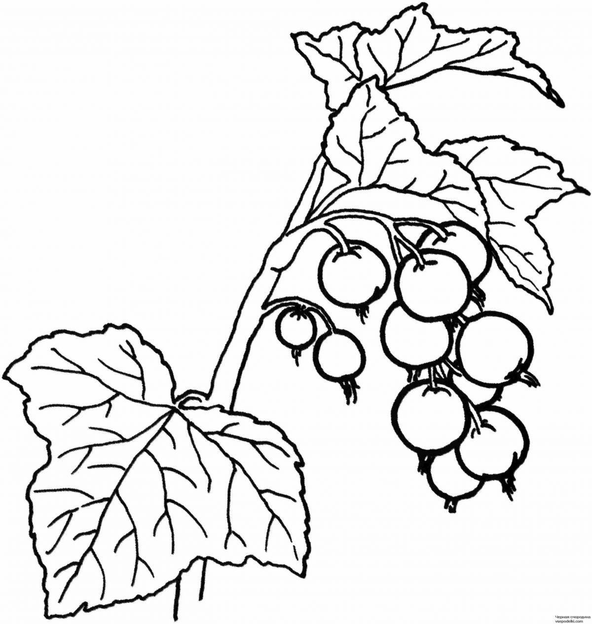 Coloring book sweet berries and fruits for kids