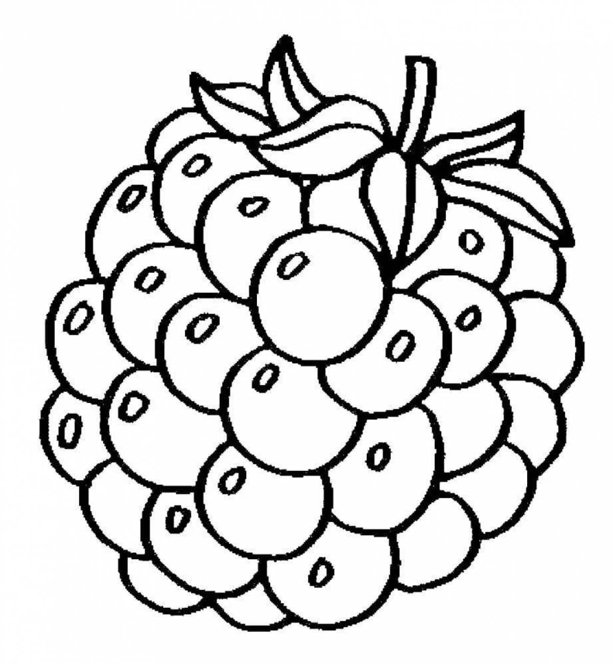 Wonderful berries and fruits coloring pages for kids