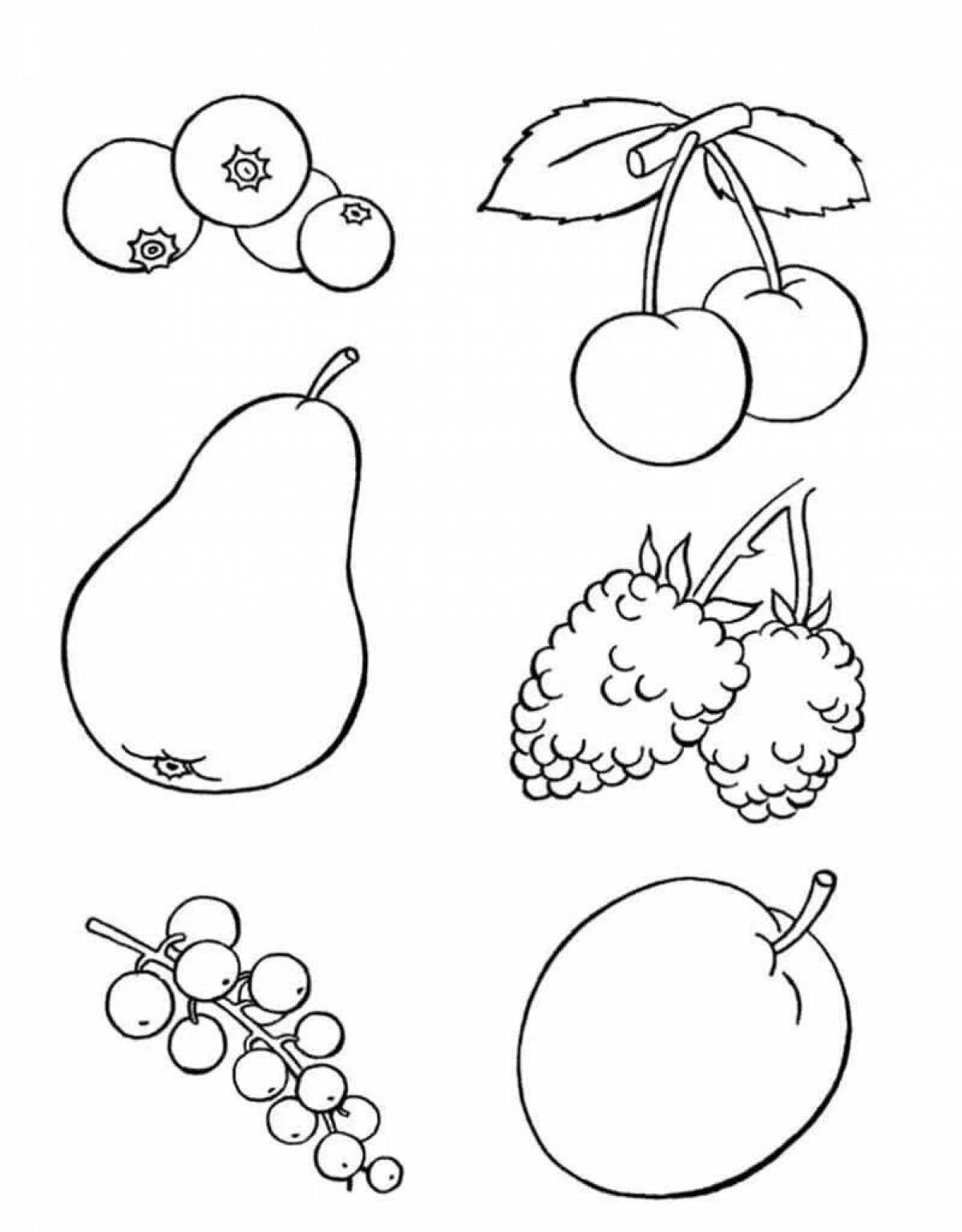 Stylish berries and fruits coloring pages for kids