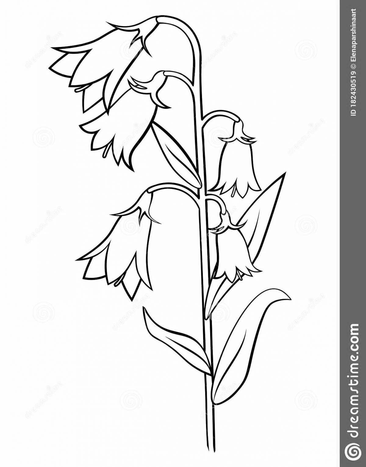 Photo Glowing bell coloring book for kids