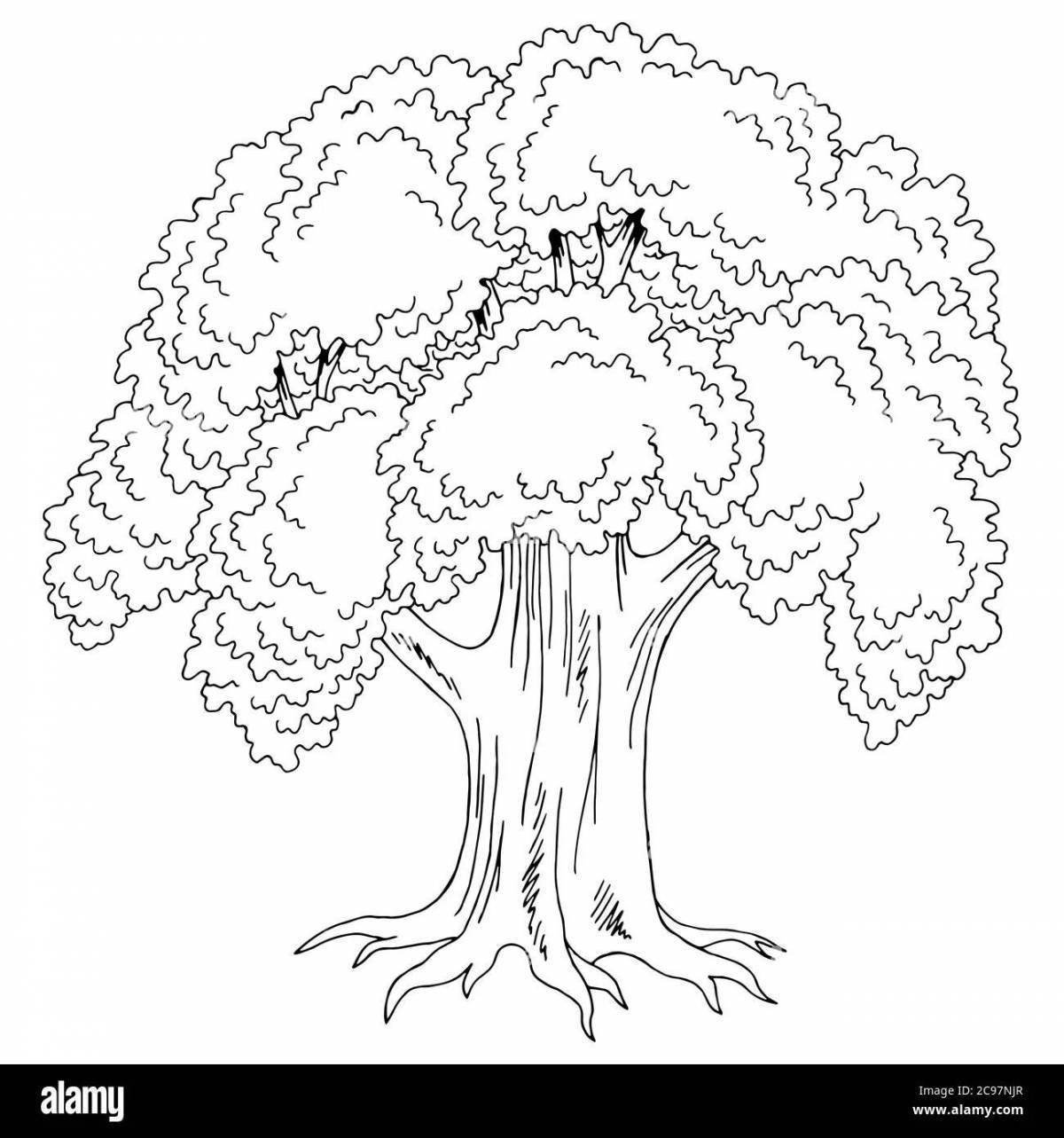 Раскраска сказочный дуб для детей