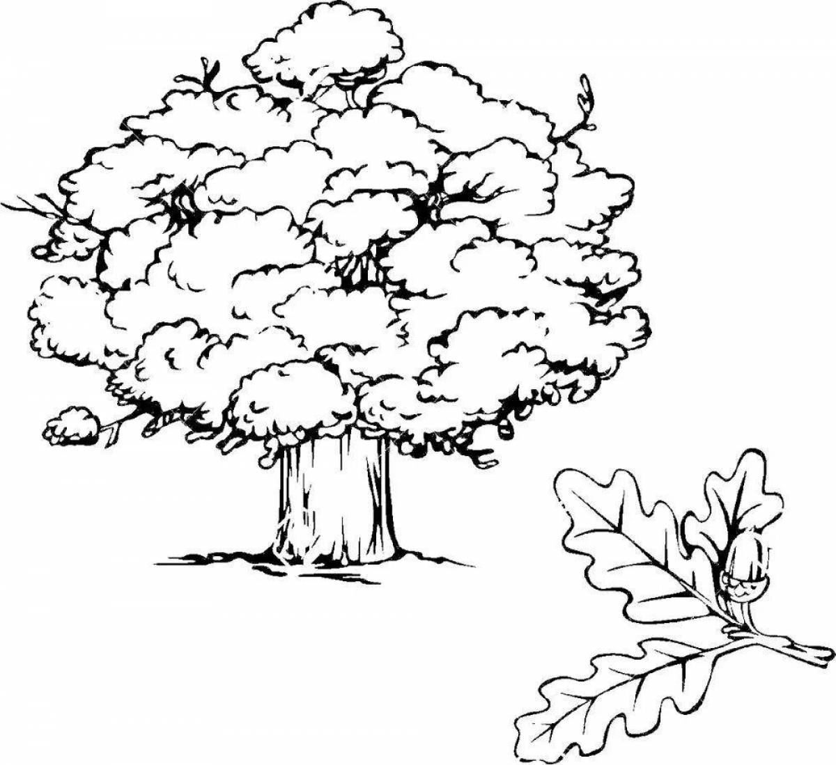 Delightful oak tree coloring book for kids