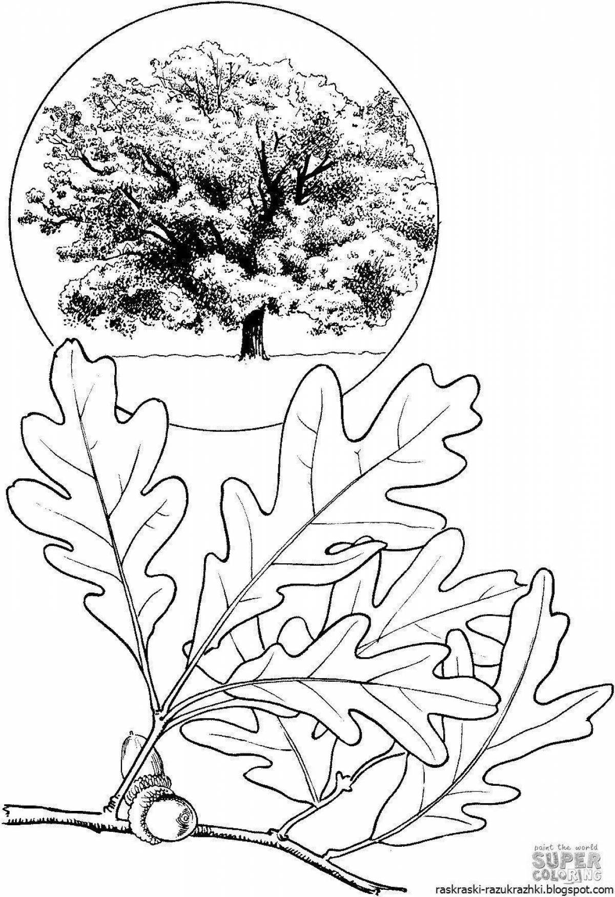Coloring book happy oak tree for kids