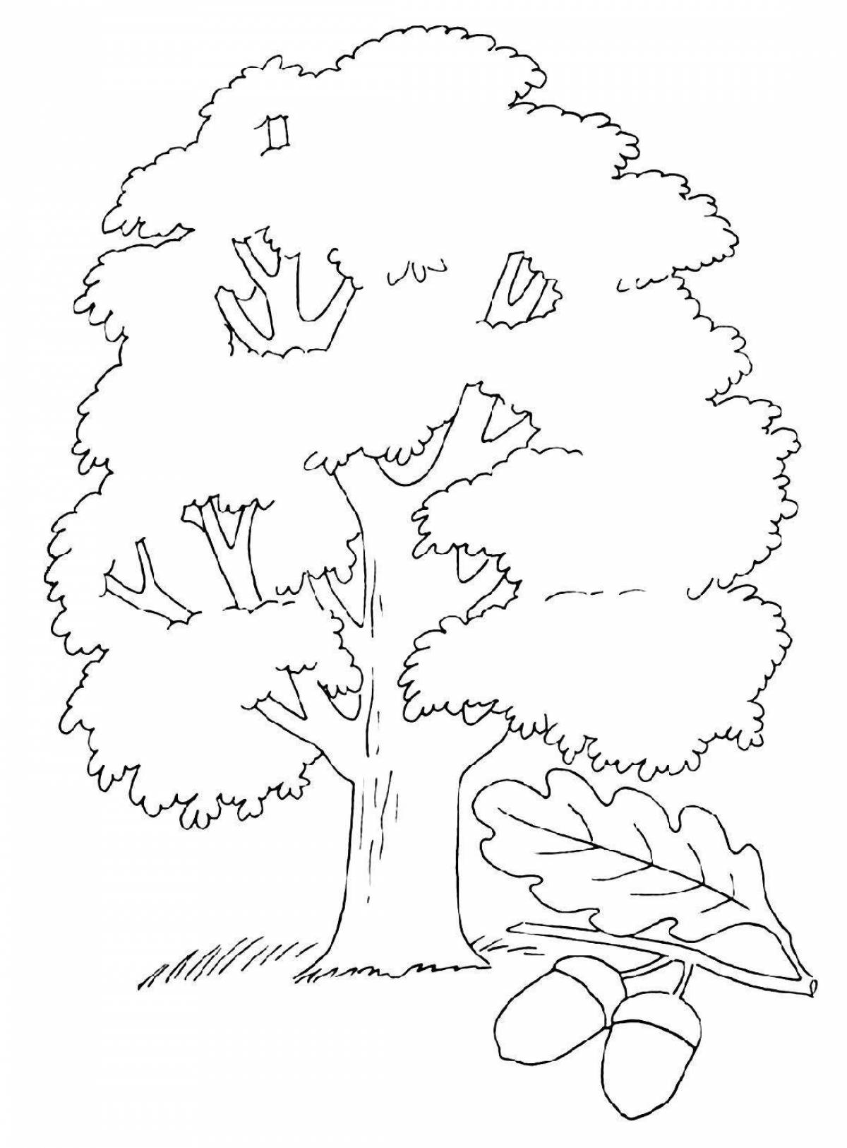 Holiday oak tree coloring book for kids