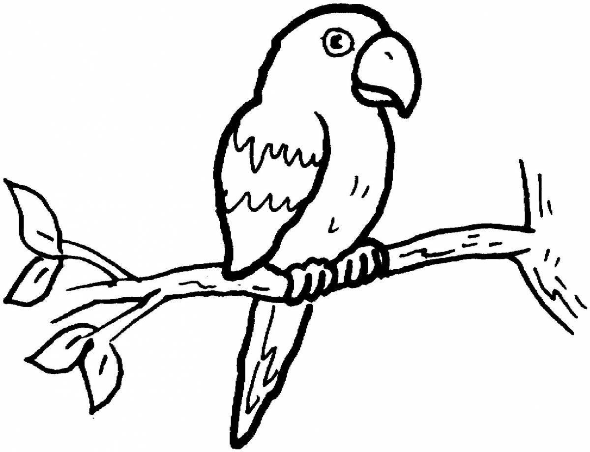 Увлекательный рисунок попугая для детей