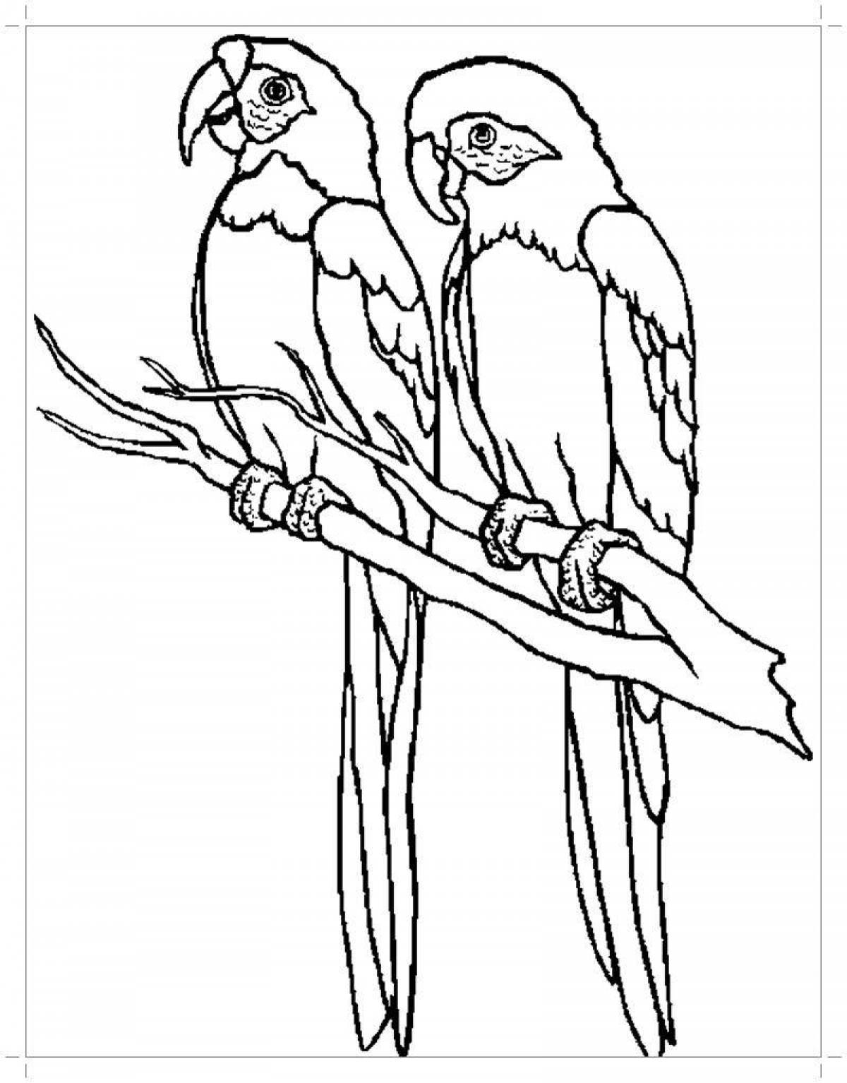 Поразительный рисунок попугая для детей