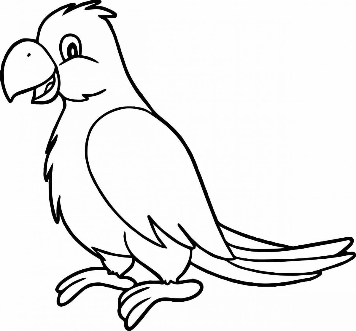 Great drawing of a parrot for kids