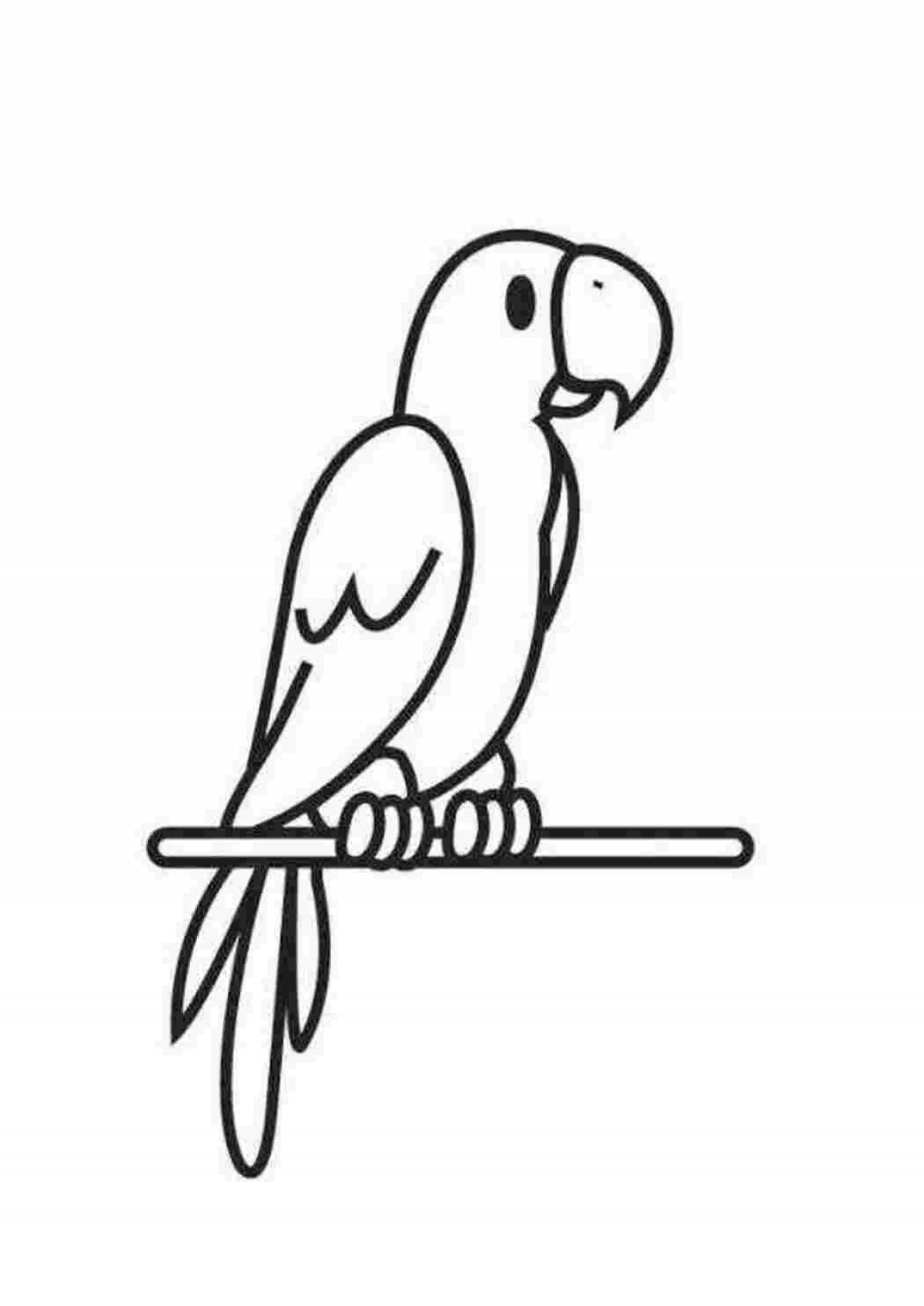 Drawing of a radiant parrot for children