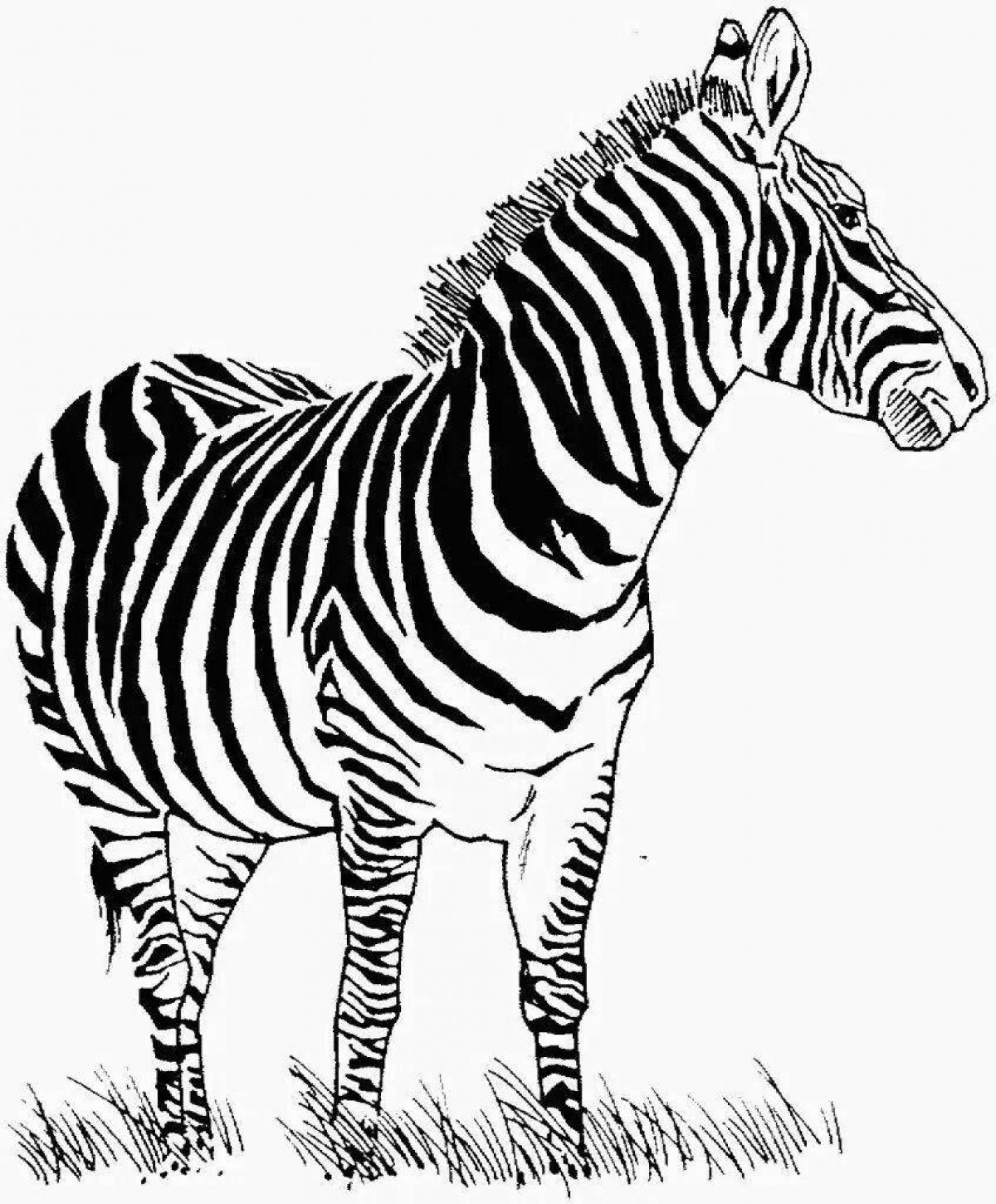 Bright zebra pattern for kids