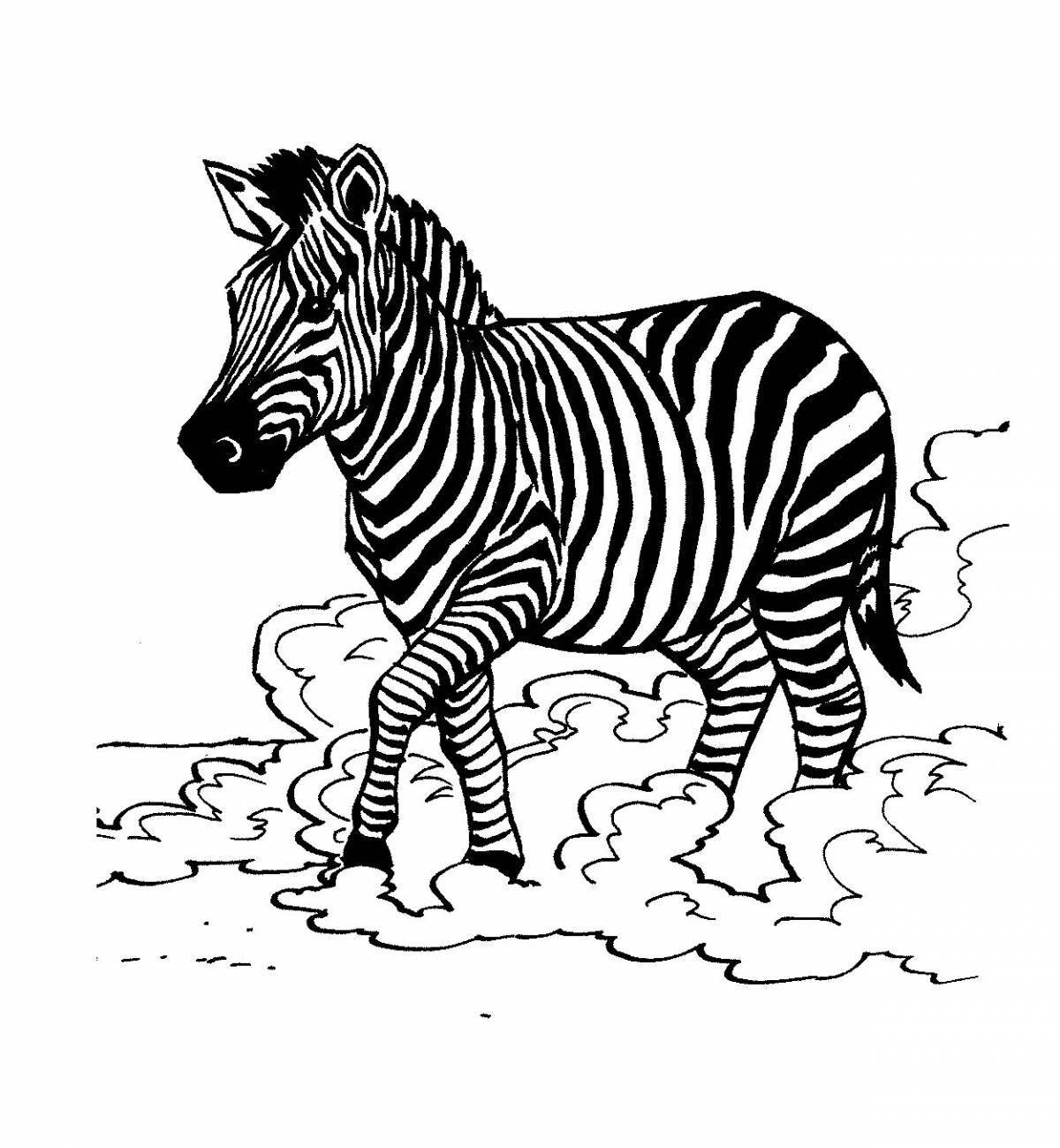 Рисунок зебра для детей #7