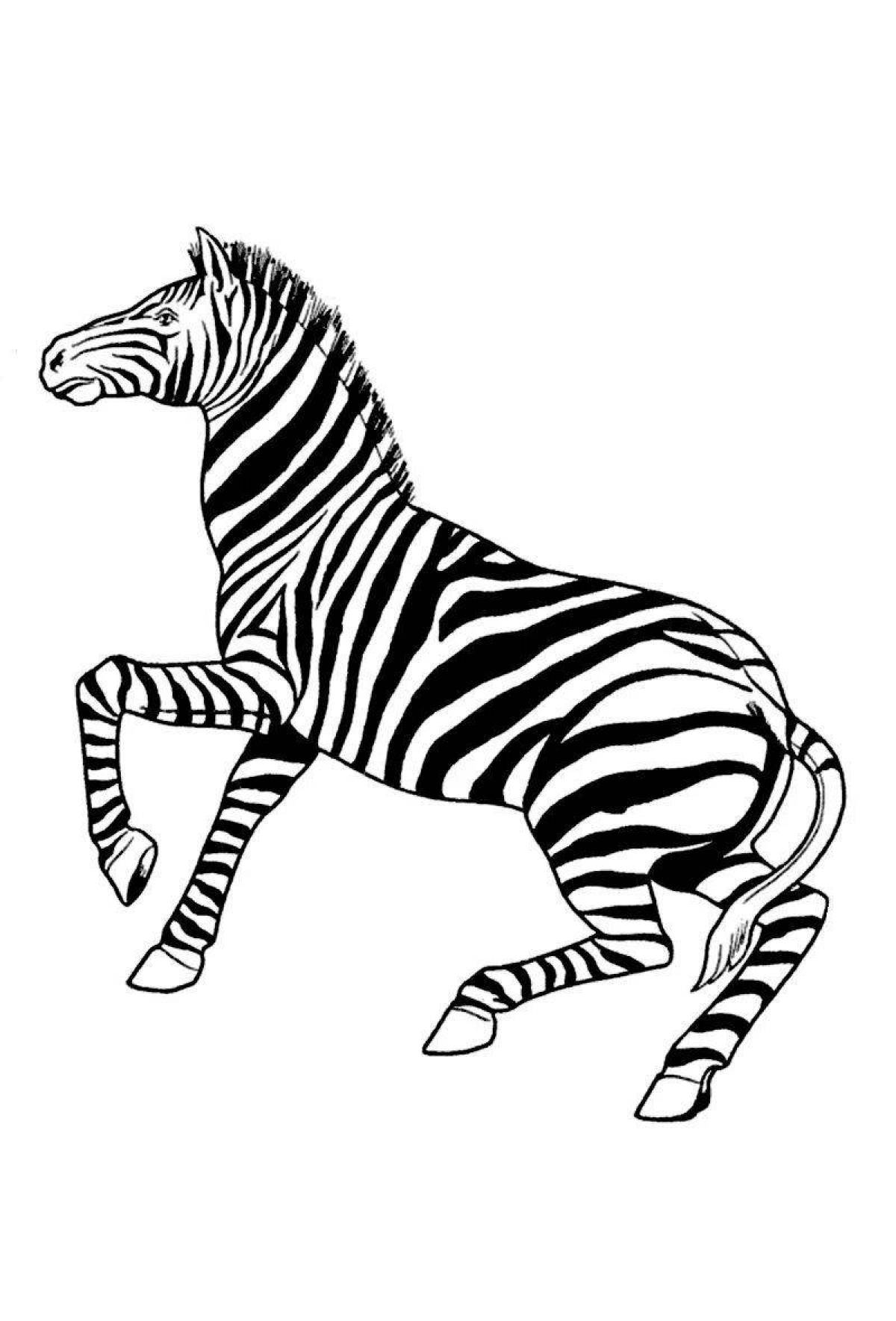 Рисунок зебра для детей #9